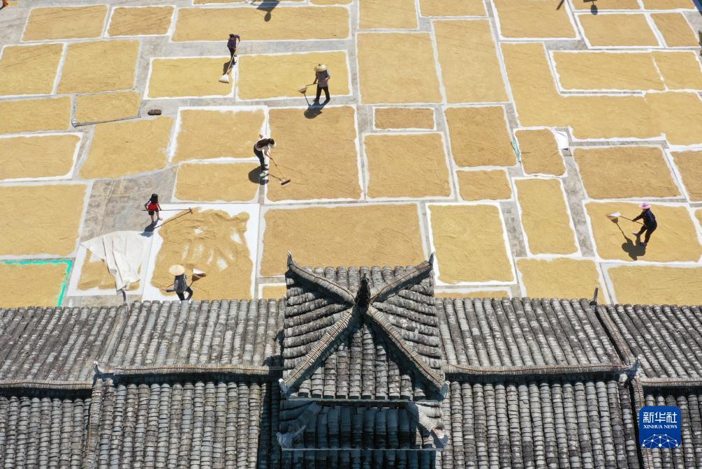 大奖网彩票电脑版